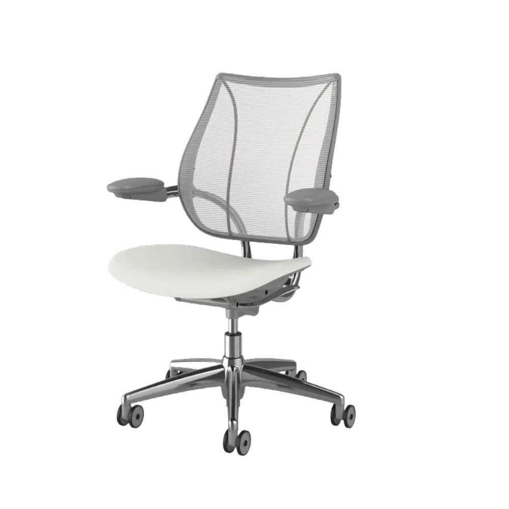 Ergonomic Office Chairs