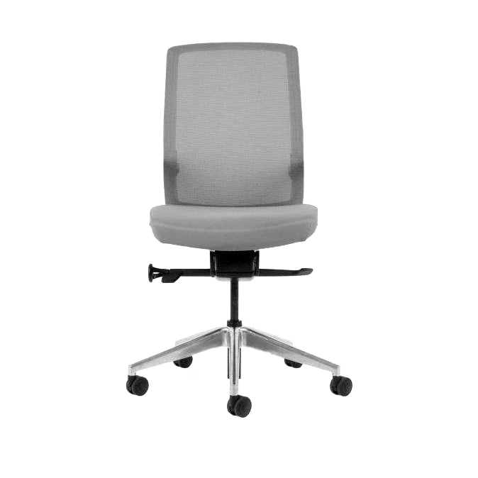 Aveya White Ergonomic Office Chair None / Polished Aluminium / Grey Fabric