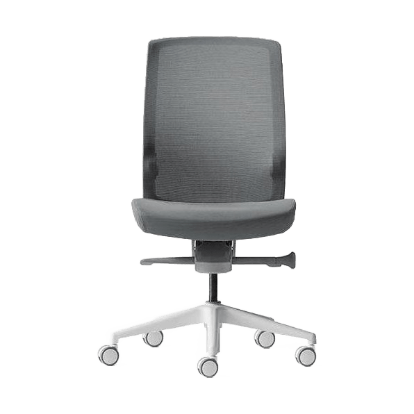Aveya White Office Chair with Boost Adjustable Lumbar Support None / Grey Fabric / White Plastic Base