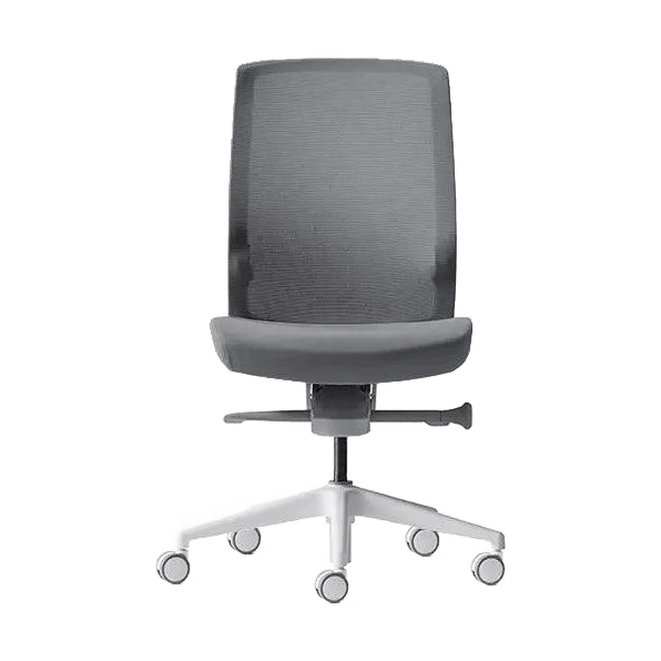 Aveya White Pronto None / Grey Fabric