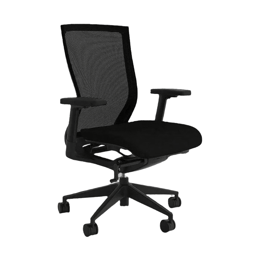 Balance Project Ergonomic Office Chair Adjustable Arms / No Lumbar Support