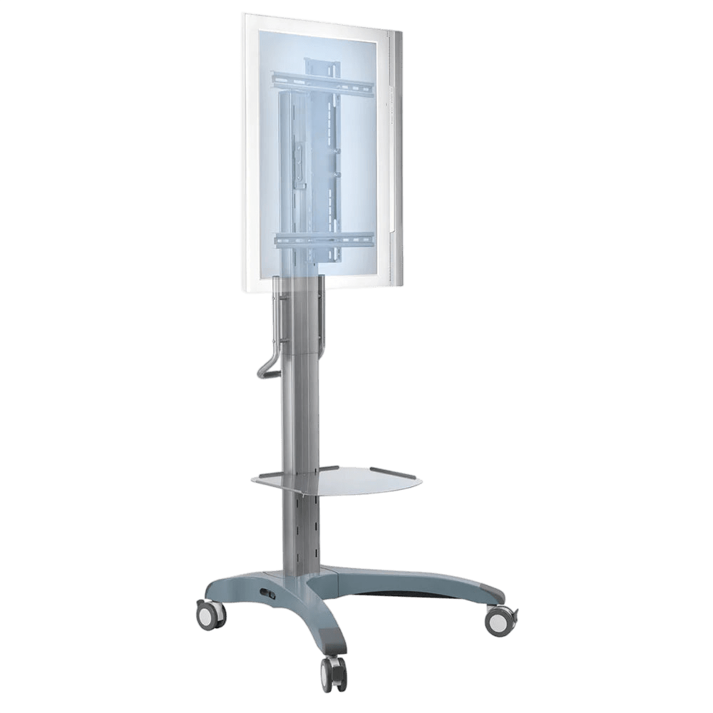 Fever Pitch Mobile TV Trolley
