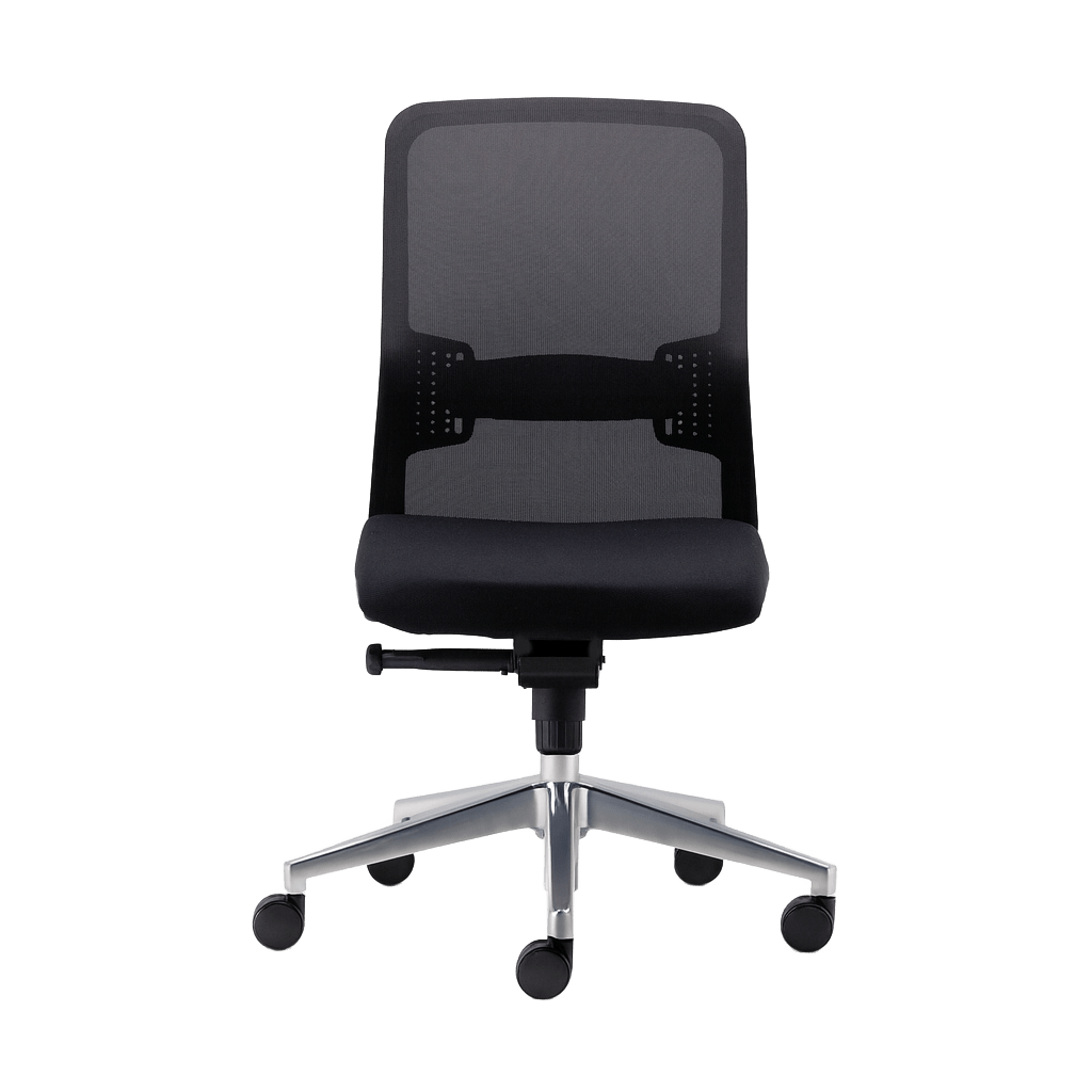 Graphite Ergonomic Office Chair None / Polished Aluminium