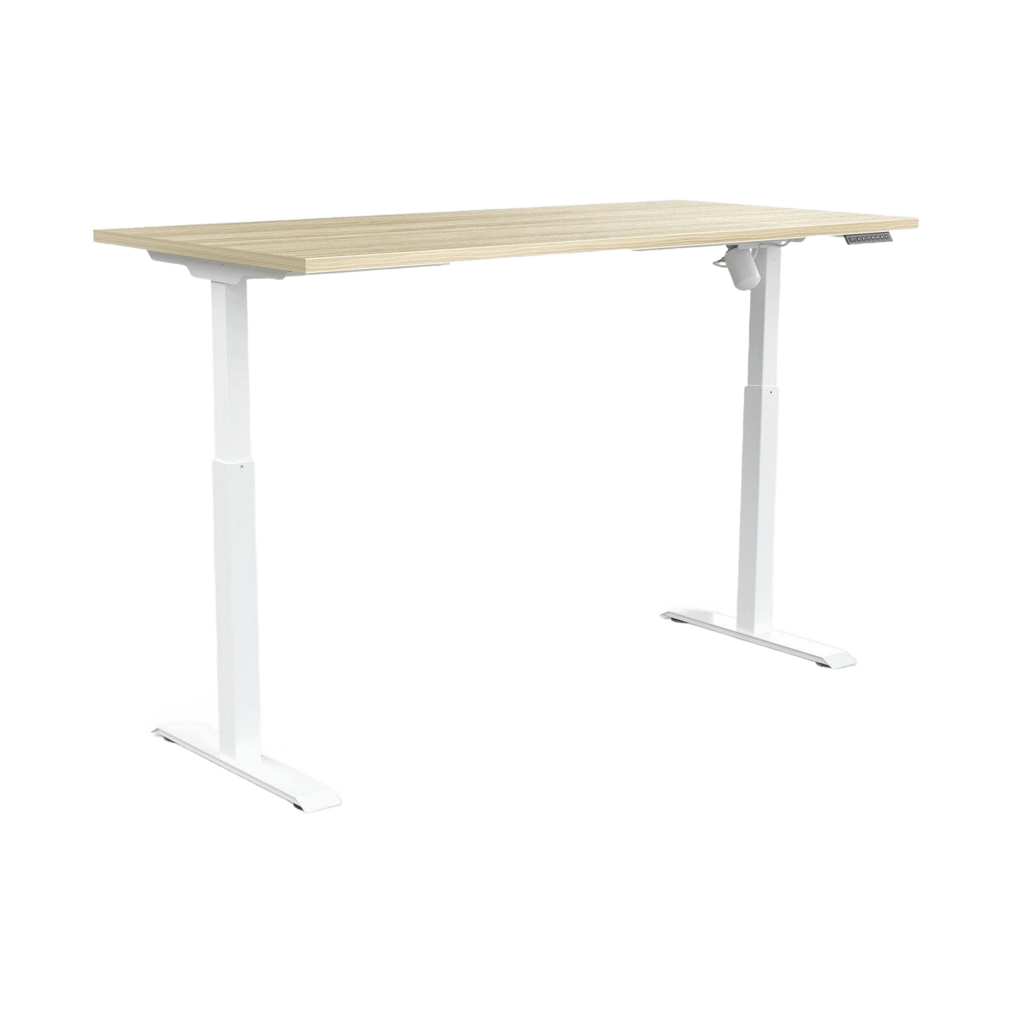 Quick Stand Electric Height Adjustable Desk 1600x750 / White Powdercoat / New Oak