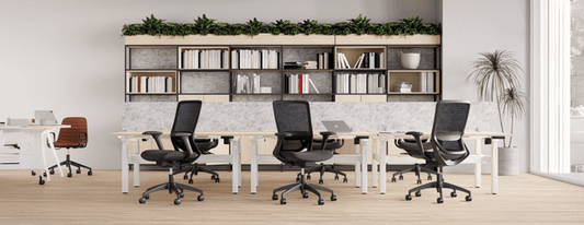 Office Chairs: The Complete Buyer’s Guide for Australian Workplaces - Office Furniture Company