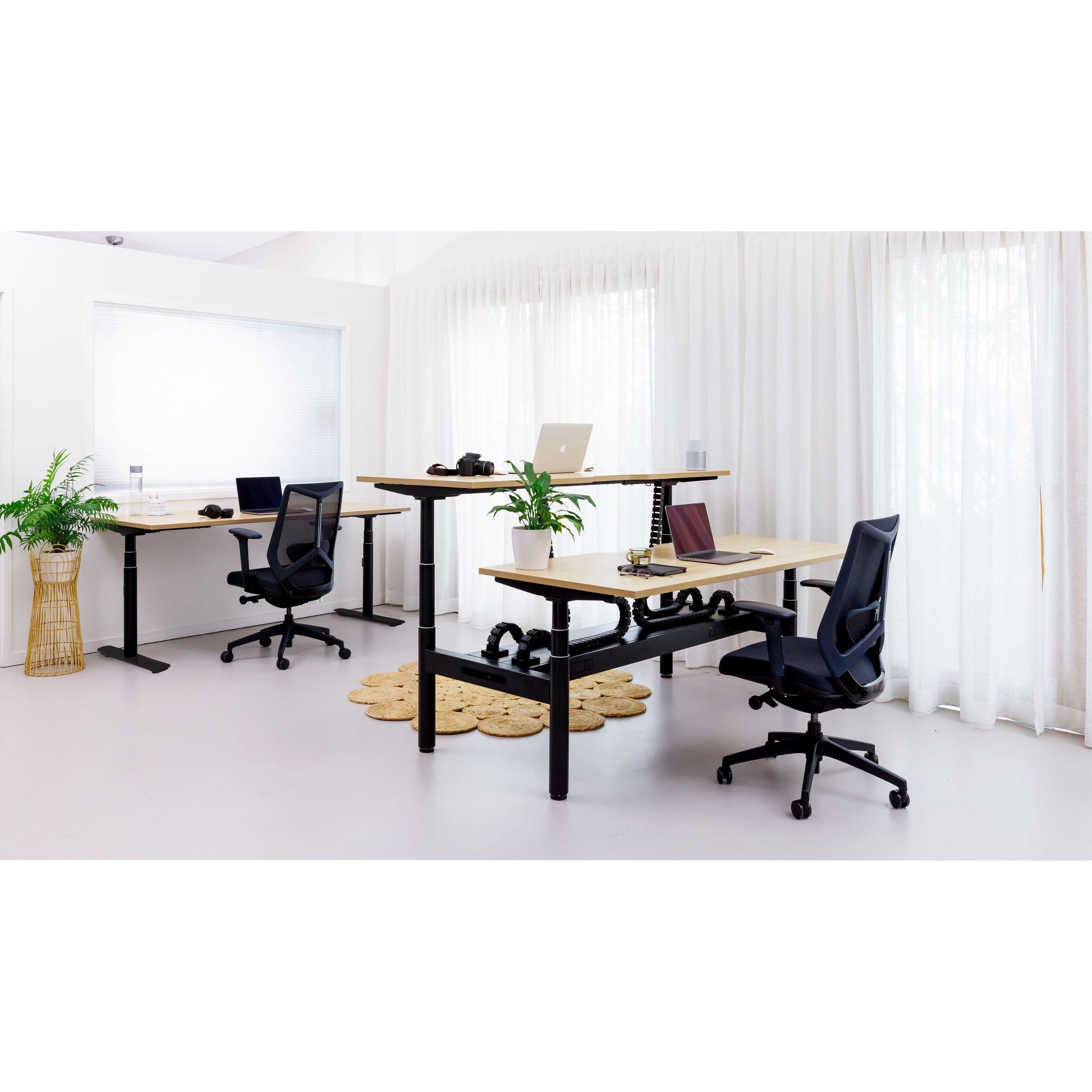 Halo Plus Back to Back Height Adjustable Workstations - Office Furniture Company 
