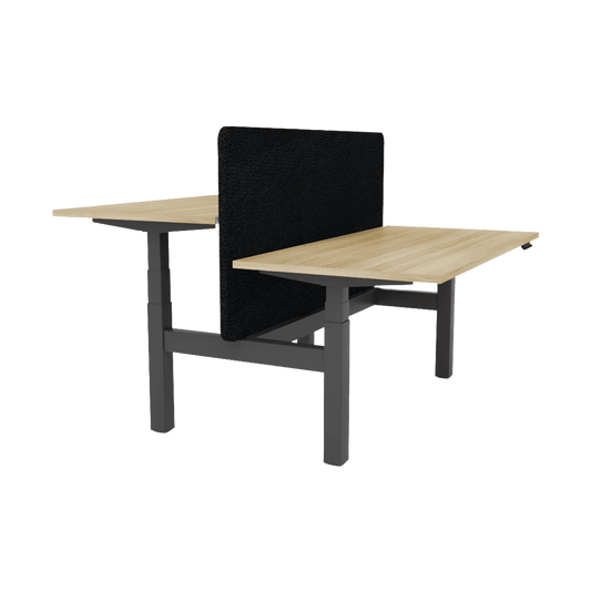 Agile Motion - Electric Height Adjustable Double Sided Workstation With Screen