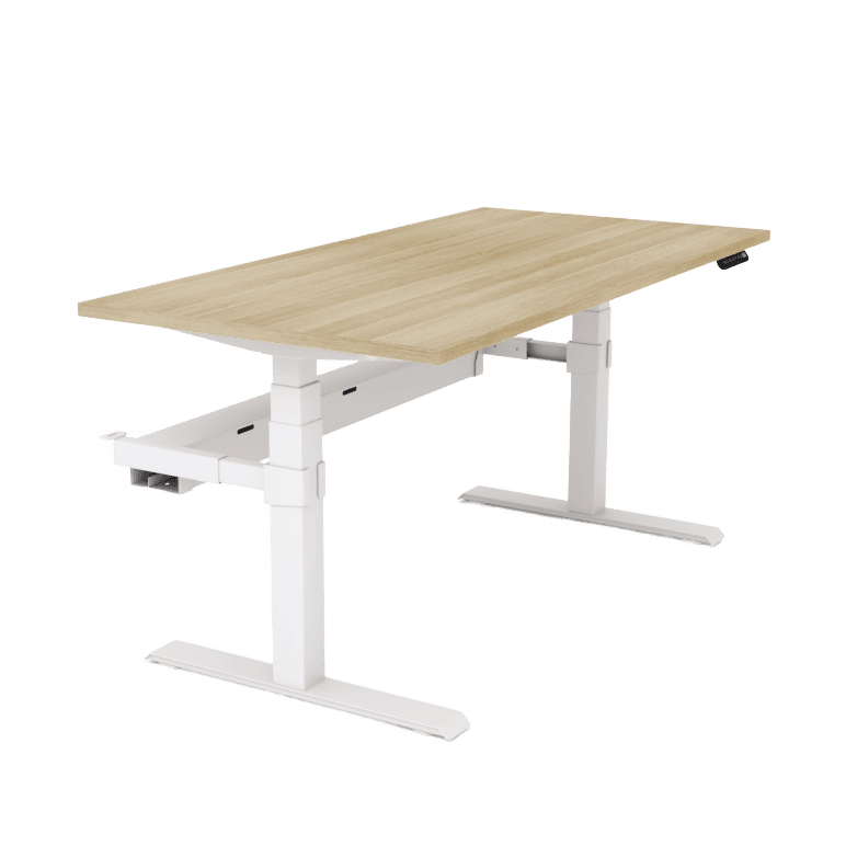 Agile Motion Electric Height Adjustable Single Workstation 1200 X 750 New Oak Top / White Frame With Cable Tray - Office Furniture Company