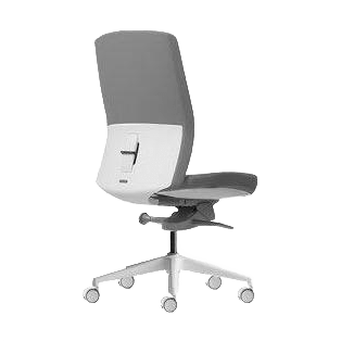 Aveya White Upholstered Ergonomic Office Chair None White Plastic Base Black Fabric