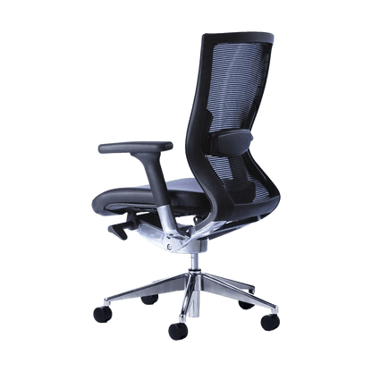 Balance Executive Office Chair with Optional Lumbar Support - 2