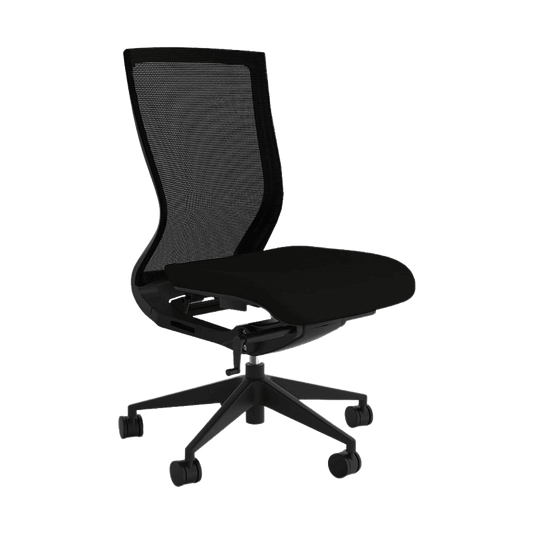 Balance Project Ergonomic Office Chair None / No Lumbar Support