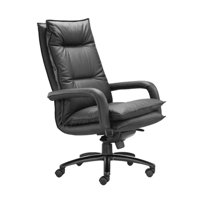 Bliss Executive Chair in Leather - 3