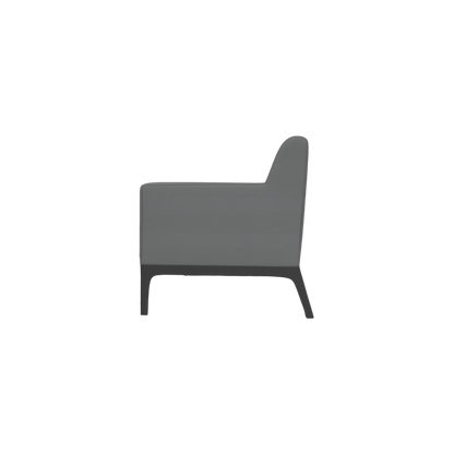 Cedar 2 Seater Sofa Lounge Brown (Tan PU)