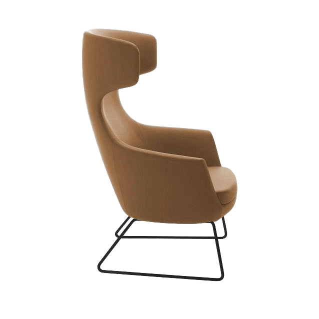 Delphi Hush Armchair Sled - Base - Black - Office Furniture Company
