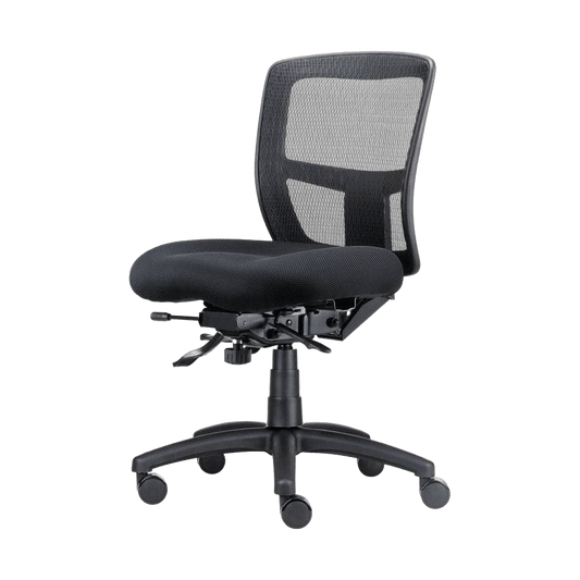 Ergo Task Chair None