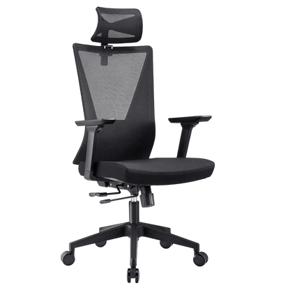 Filmore Ergonomic Office Chair Mid Yes