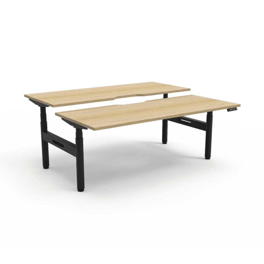 Halo Plus Back to Back Height Adjustable Workstations 1200x750 Natural Oak Top / Black Frame No Cable Tray/No Screen