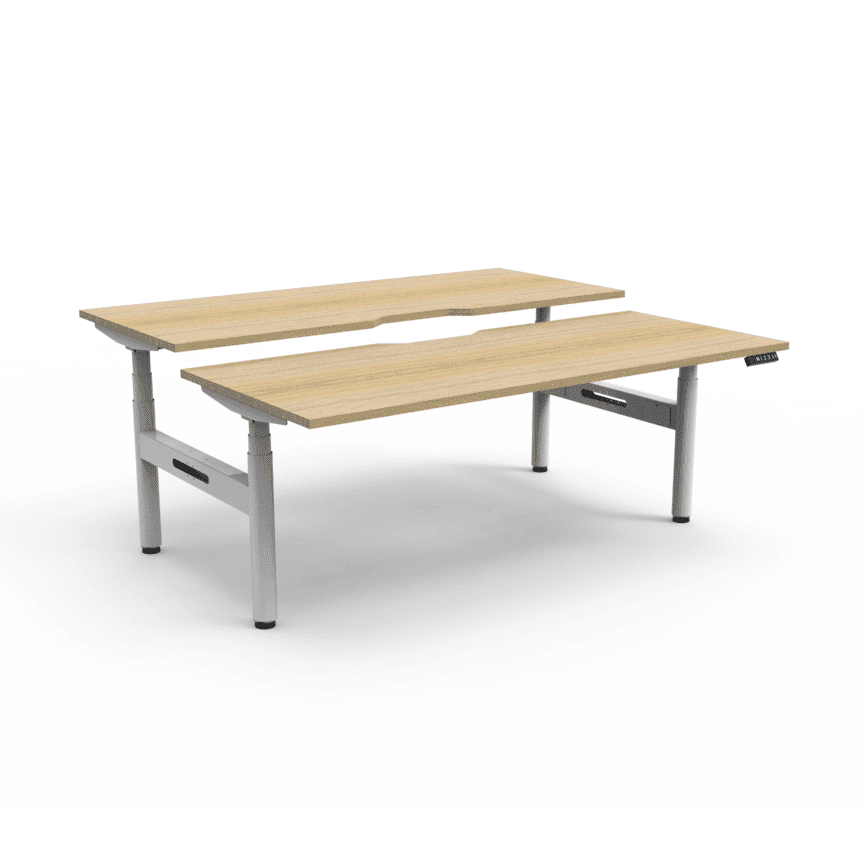 Halo Plus Back to Back Height Adjustable Workstations 1200x750 Natural Oak Top / White Frame No Cable Tray/No Screen