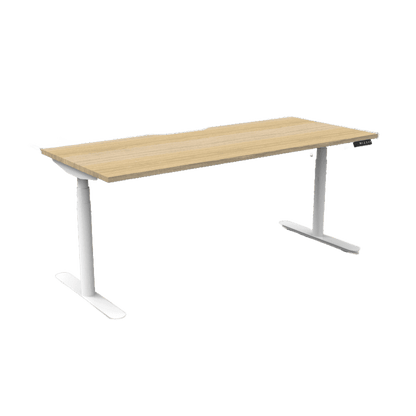 Halo Plus Electric Height Adjustable Desk 1200mm Natural Oak Top & White Frame Without Cable Tray/Without Screen - Office Furniture Company