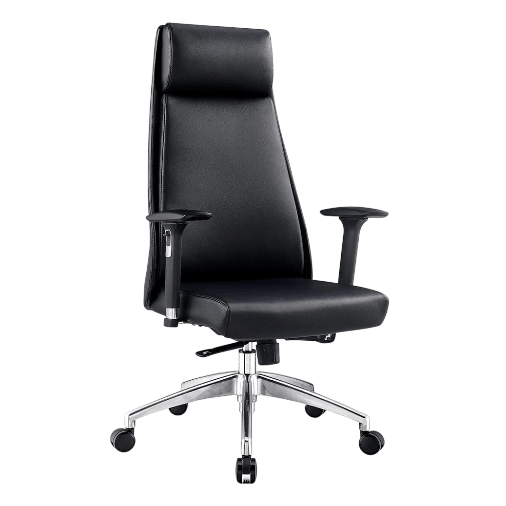 McKinley Ergonomic Task Chair Mid