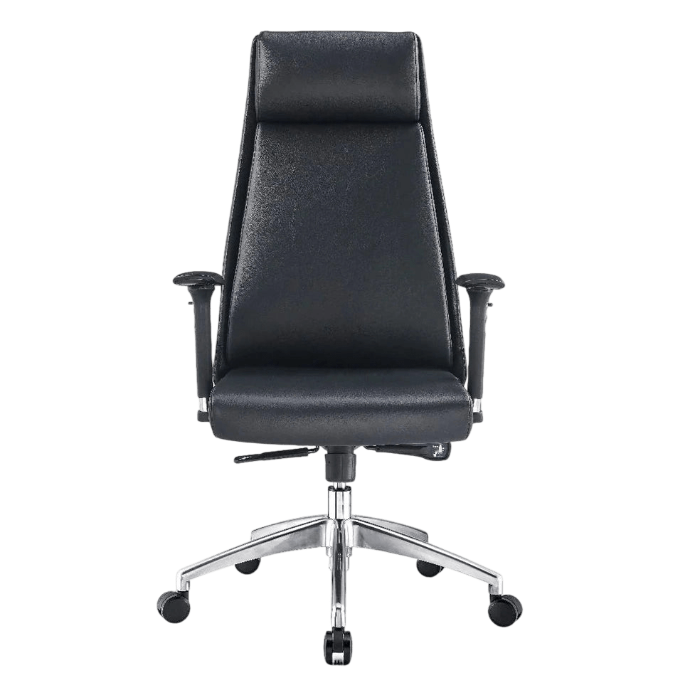 McKinley Ergonomic Task Chair Mid