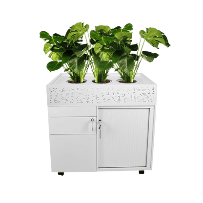 Order Planter Box Add On