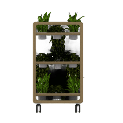Rover Mobile Planter Planters