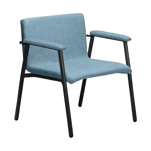 Omega Forte Bariatric Armchair Lounges & Soft Seating