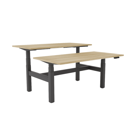 Agile Motion - Electric Height Adjustable Double Sided Workstation Multi-Person Desks
