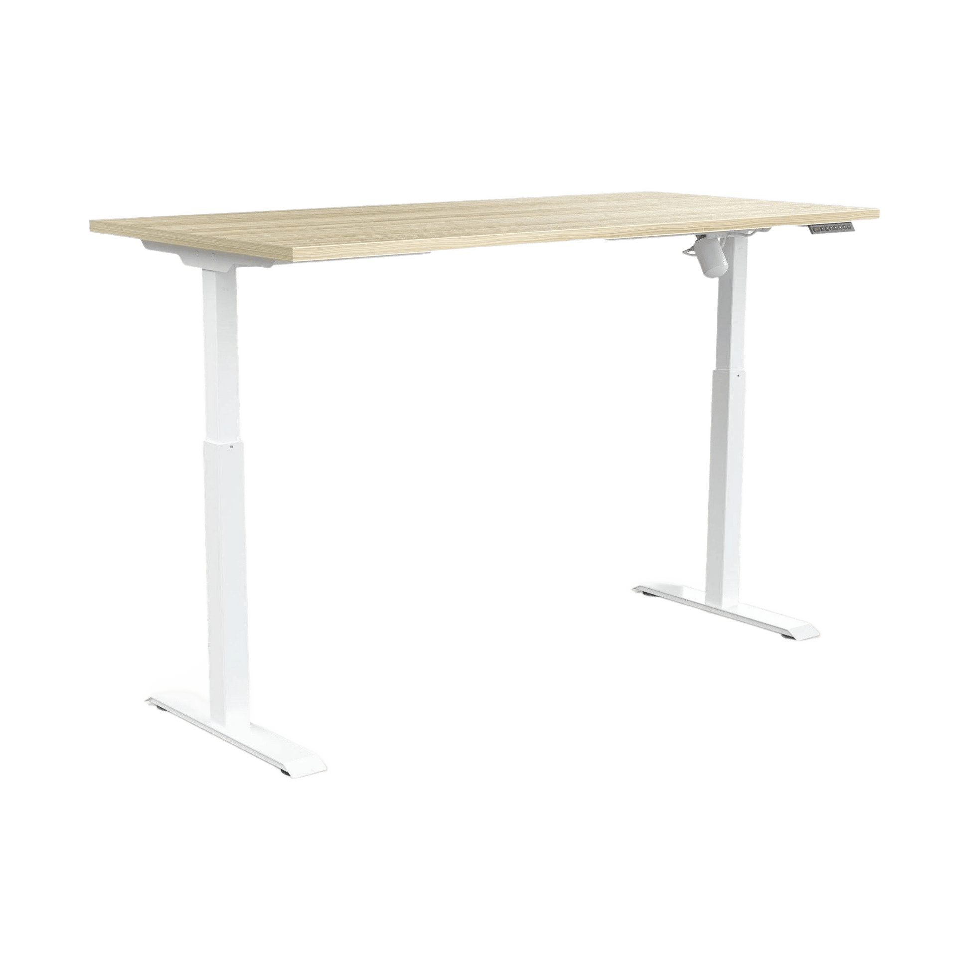 Quick Stand Electric Height Adjustable Desk 1600x750 White Powdercoat New Oak