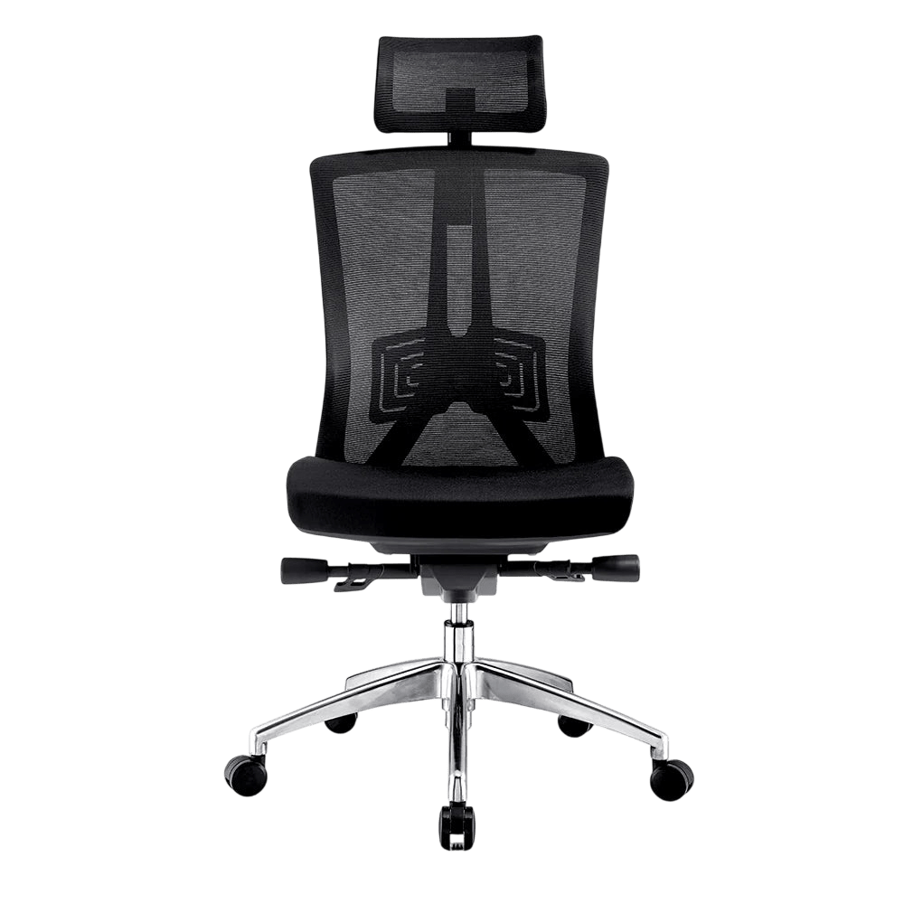 Truman Ergonomic Office Task Chair Mid No